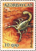 [Arachnids, type YR]