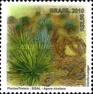 [Textile Plants, type EHF]