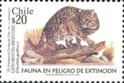 [Endangered Species, type BQA]