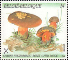 [Mushrooms, type BPW]