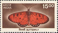 [Wildlife, type BJG]