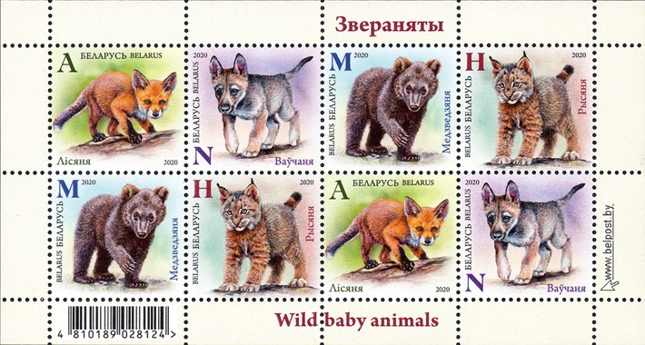 [Fauna - Wild Baby Animals, type ]