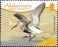 [Birds - Waders, type MQ]