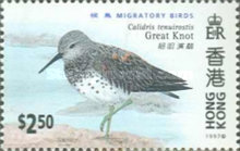 [Migratory Birds, type XO]