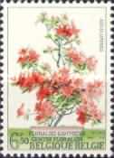 [Flowers, type ASL]