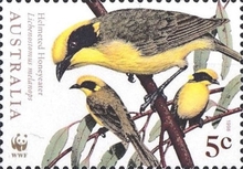 [World Wildlife Fund - Birds, type BDW]