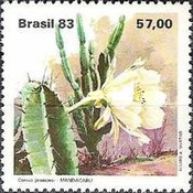 [Cacti, type BWP]