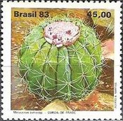 [Cacti, type BWN]
