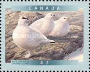 [Birds, type BTE]