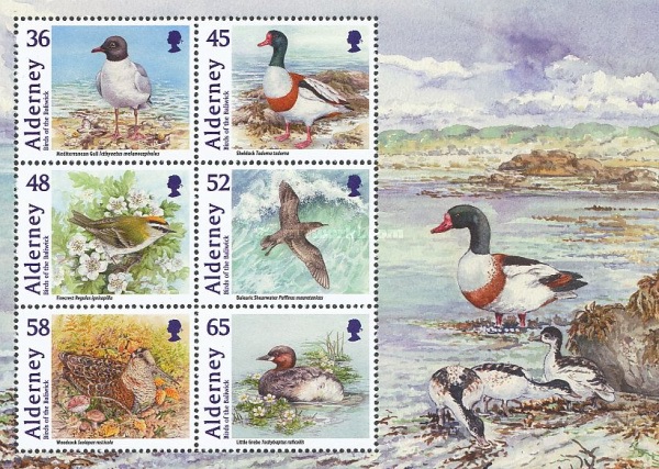 [Birds, type ]