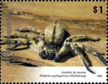 [Flora and Fauna, type DIZ]