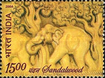 [Sandalwood, type ]