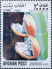 [Flora - Cacti, type ATJ]