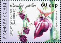 [Flowers, type XF]