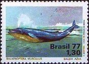 [Fauna Preservation, type BHE]