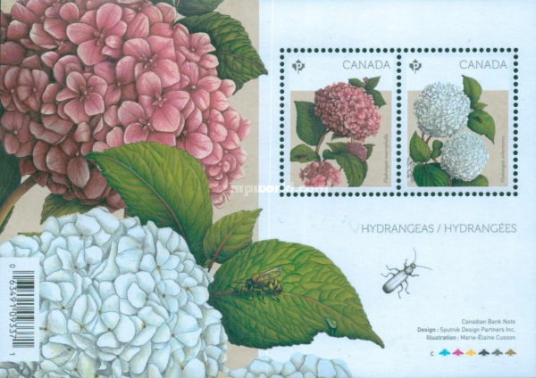 [Flora - Hydrangeas, type ]