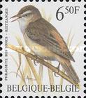 [Birds, type BVS]