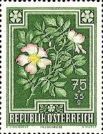 [Flowers - Charity Stamps, type OQ]