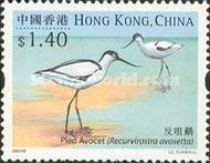 [Water Birds, type AJD]