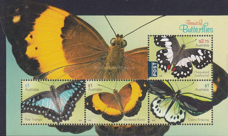 [Beautifull Butterflies, type ]