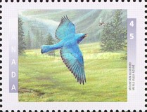 [Birds, type BFM]