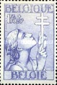 [The struggle against Tuberculosis, type EW5]