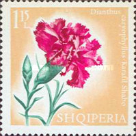[Flowers, type ZU]