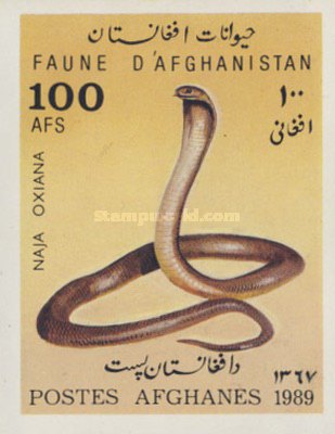 [Fauna, type ]