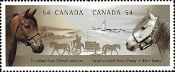 [The Canadian Horse, type ]
