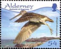 [Birds - Waders, type MP]