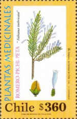 [Medicinal Plants, type BLL]