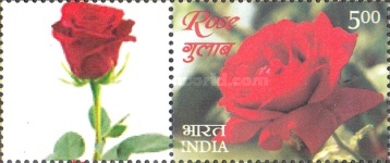 [Roses - Personalized Vignette, type DPU]