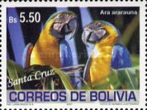 [Birds of Bolivia, type BHM]