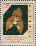 [The 1st Andean Orchid Conservation Convention, type CEY]