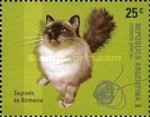 [Domestic Felines, type CYH]