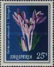 [Medicinal Plants, type XKA]