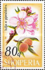 [Tree Flowers, type AGV]