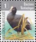 [Birds - Coot, type DVU]