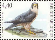 [Birds, type DKW]