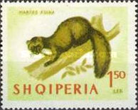 [Animals - Mammals, type OI]