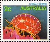[Marine Life, type ABP]