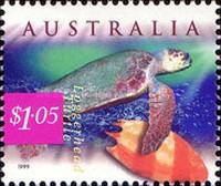 [Costal Animals & Seashells, type BGK]