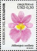 [Orchids, type DFO]