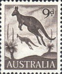 [Animals, type FN]