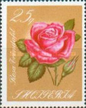[Roses, type ZZ]