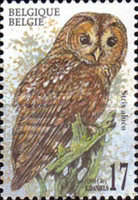 [Birds - Owls, type CEC]
