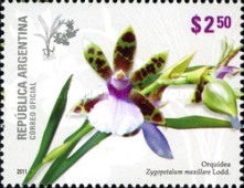 [Flowers - Orchids, type DNW]