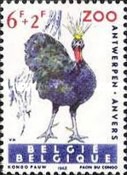 [Exotic Birds, type AAW]