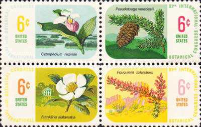 [Flora - Botanical Congress, type ]