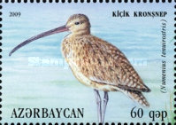 [Marsh Waterfowls, type AAD]